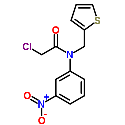 2-Chloro-N-(3-nitrophenyl)-N-(2-thienylmethyl)acetamide结构式