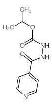 Hydrazinecarboxylicacid, 2-(4-pyridinylcarbonyl)-, 1-methylethyl ester结构式