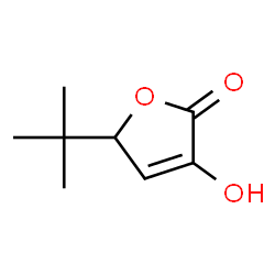 2(5H)-Furanone, 5-(1,1-dimethylethyl)-3-hydroxy- (9CI) Structure