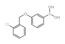 3-(2'-氯苄氧基)苯基硼酸结构式