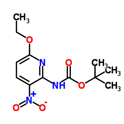 2-Methyl-2-propanyl (6-ethoxy-3-nitro-2-pyridinyl)carbamate结构式