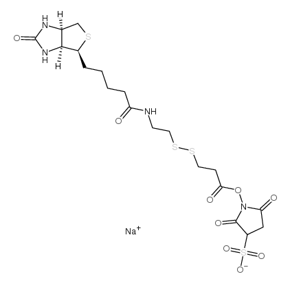 202057-28-1 structure