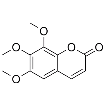 白蜡树素图片