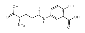 L-谷氨酸γ-(3-羧基-4-羟基苯胺)结构式