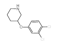 3-(3,4-Dichlorophenoxy)piperidine Structure