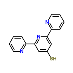 1010828-64-4 structure