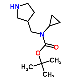 2-Methyl-2-propanyl cyclopropyl(3-pyrrolidinylmethyl)carbamate结构式