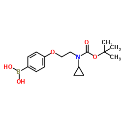 (4-(2-((叔-丁氧基羰基)(环丙基)氨基)乙氧基)苯基)硼酸图片