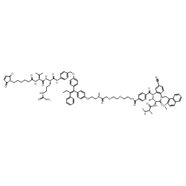 PAC Structure