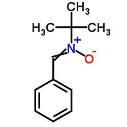 n-tert-butyl-n-[(e)-phenylmethylene]amine oxide structure