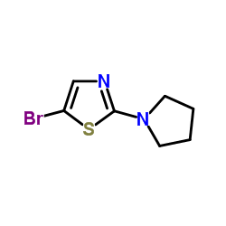 5-Bromo-2-(1-pyrrolidinyl)-1,3-thiazole picture