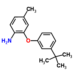 4-Methyl-2-[3-(2-methyl-2-propanyl)phenoxy]aniline结构式