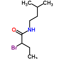 2-Bromo-N-(3-methylbutyl)butanamide图片