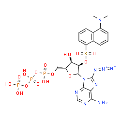 8-azido-2'-O-dansyladenosine triphosphate picture