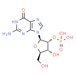 C.I. Reactive Red 55 Structure