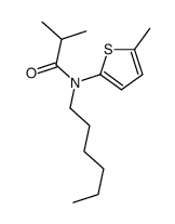 N-hexyl-2-methyl-N-(5-methylthiophen-2-yl)propanamide结构式