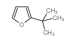 2-tert-butylfuran picture