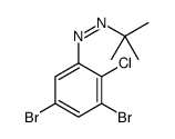 tert-butyl-(3,5-dibromo-2-chlorophenyl)diazene Structure