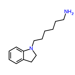 6-(2,3-Dihydro-1H-indol-1-yl)-1-hexanamine结构式