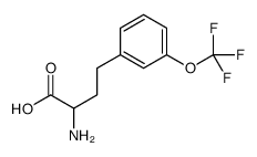 2-amino-4-[3-(trifluoromethoxy)phenyl]butanoic acid Structure