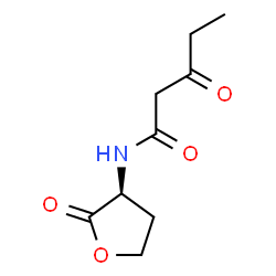 N-3-oxo-pentanoyl-L-Homoserine lactone structure