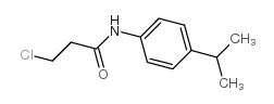 3-氯-n-(4-异丙基苯基)丙酰胺图片