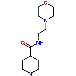 N-(2-morpholin-4-ylethyl)piperidine-4-carboxamide结构式