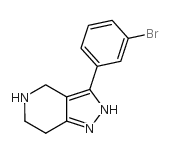 3-(3-bromophenyl)-4,5,6,7-tetrahydro-1H-pyrazolo[4,3-c]pyridine图片