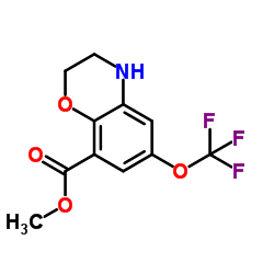 Methyl 6-(trifluoromethoxy)-3,4-dihydro-2H-1,4-benzoxazine-8-carboxylate Structure