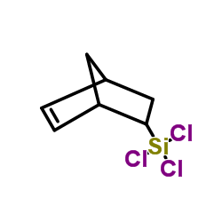 Bicyclo[2.2.1]hept-5-en-2-yl(trichloro)silane structure