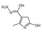 1H-Pyrrole-3-carboxylicacid,4,5-dihydro-2-methyl-5-oxo-,hydrazide(9CI) picture