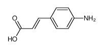 4-Aminocinnamic acid picture