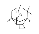 [(1S,3aR,4S,8aS)-4,8,8-trimethyldecahydro-1,4-methanoazulen-9-yl]methyl acetate Structure