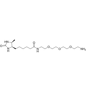 Amine-PEG3-Desthiobiotin picture