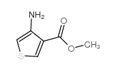 4-氨基噻吩-3-羧酸甲酯结构式