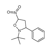 2-tert-butyl-5-nitro-3-phenyl-1,2-oxazolidine结构式