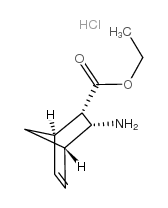 乙基3-内双环氨基[2.2.1]庚-5-烯-2-内羧酸盐酸盐图片