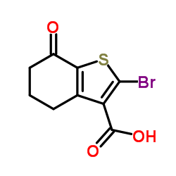 2-Bromo-7-oxo-4,5,6,7-tetrahydro-1-benzothiophene-3-carboxylic acid结构式