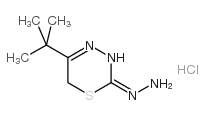 5-叔丁基-6H-1,3,4-噻二嗪盐酸盐结构式