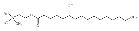 Palmitoylcholine (chloride) structure