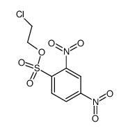 2,4-dinitro-benzenesulfonic acid-(2-chloro-ethyl ester)结构式