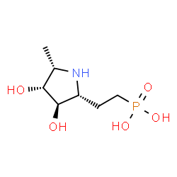 Phosphonic acid, [2-[(2R,3R,4R,5S)-3,4-dihydroxy-5-methyl-2-pyrrolidinyl]ethyl]- (9CI) Structure