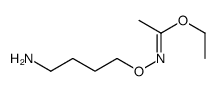 ethyl N-(4-aminobutoxy)ethanimidate结构式