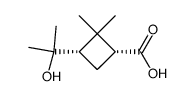 (1R,3S)-(-)-3-(1-hydroxy-1-methylethyl)-2,2-dimethylcyclobutanecarboxylic acid Structure