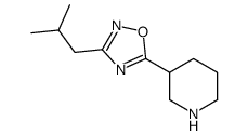 3-(2-methylpropyl)-5-piperidin-3-yl-1,2,4-oxadiazole结构式