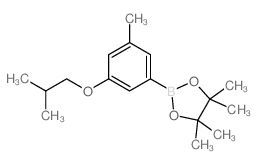 3-异丁氧基-5-甲基苯硼酸频那醇酯图片