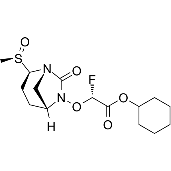 β-Lactamase-IN-6 Structure