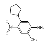 2-METHYL-4-NITRO-5-PYRROLIDIN-1-YL-PHENYLAMINE Structure