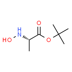 L-Alanine, N-hydroxy-, 1,1-dimethylethyl ester (9CI)结构式