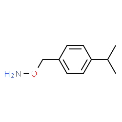 Hydroxylamine, O-[[4-(1-methylethyl)phenyl]methyl]- (9CI)结构式